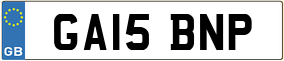 Truck License Plate